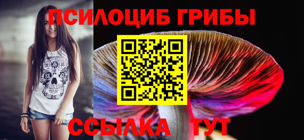 Сорочинск  дарнет шоп  Вход с VPN  Псилоцибиновые грибы ЛСД 