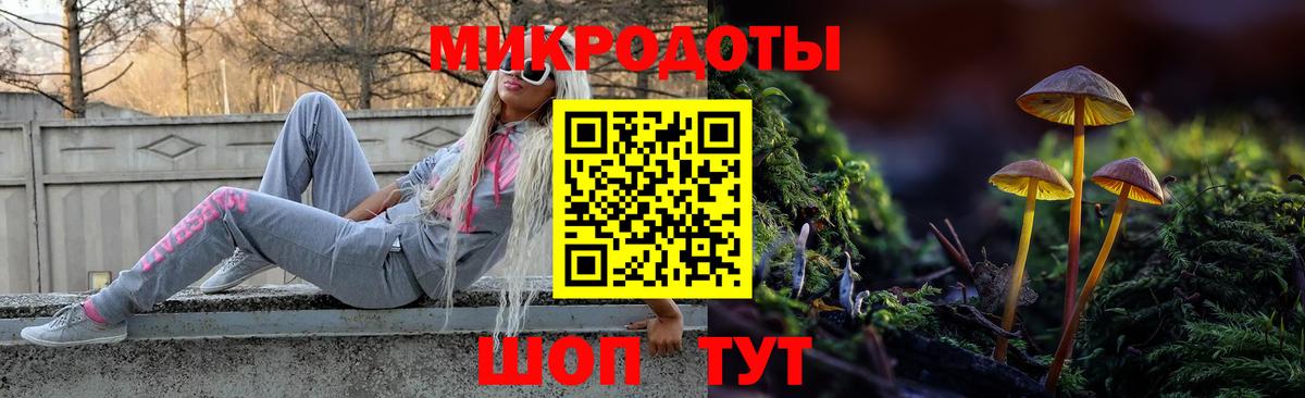 Псилоцибиновые грибы Cubensis Сорочинск